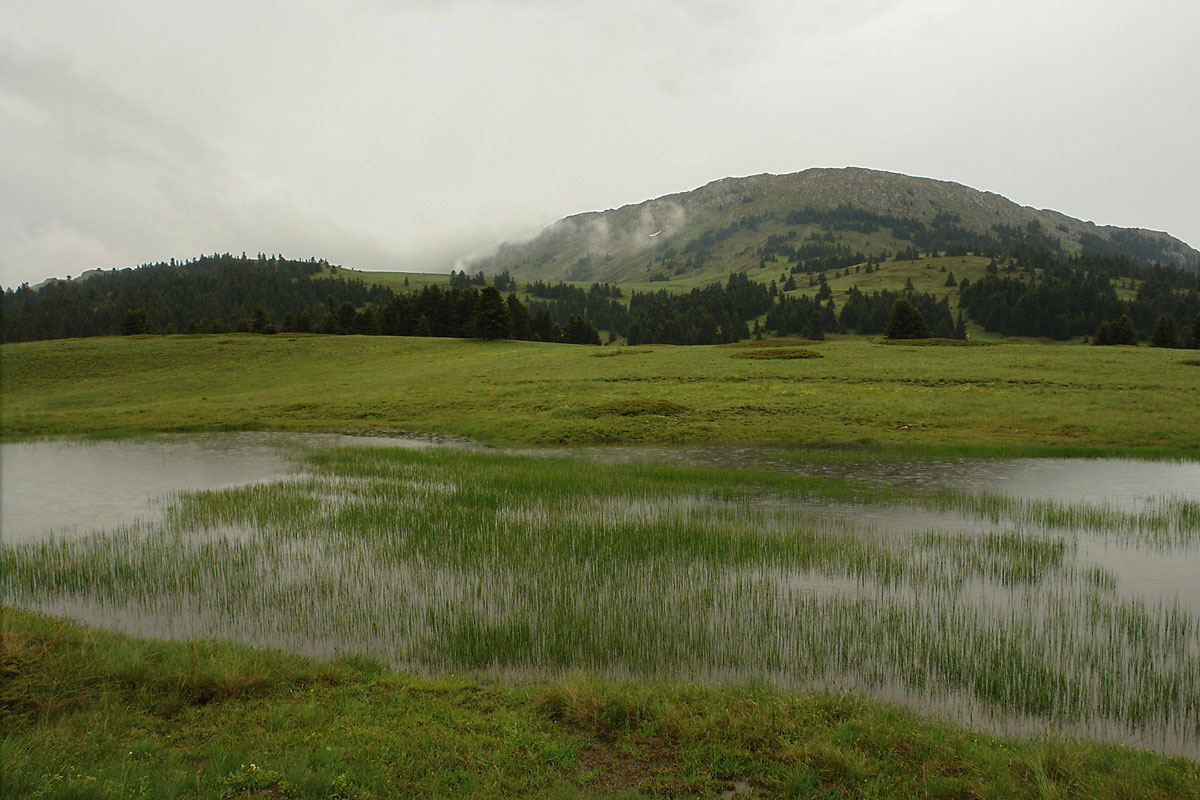 Temporary pond on Mt. Oiti. (Photo: G. Karetsos) Temporary pond on Mt. Oiti. (Photo: G. Karetsos)