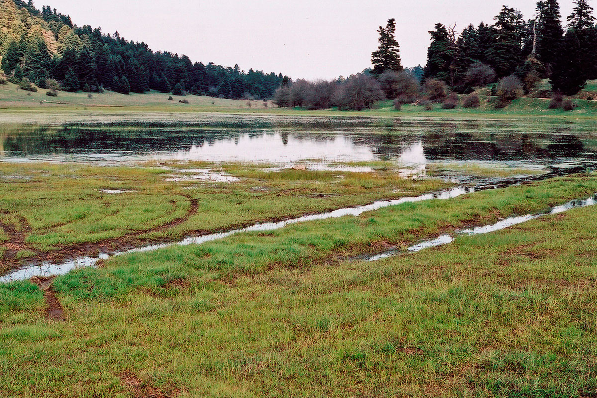 Off road driving threatens the fragile habitats of the temporary pond of Souvala (Photo: G. Politis) Off road driving threatens the fragile habitats of the temporary pond of Souvala (Photo: G. Politis)