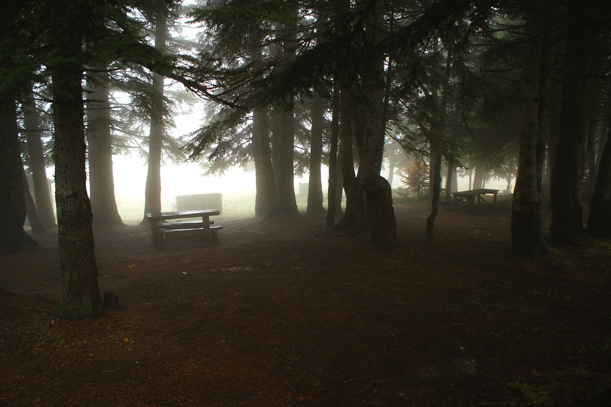 Picnic sites will be established at appropriate locations on Mt. Kallidromo (Photo: Ch. Alivizatos)