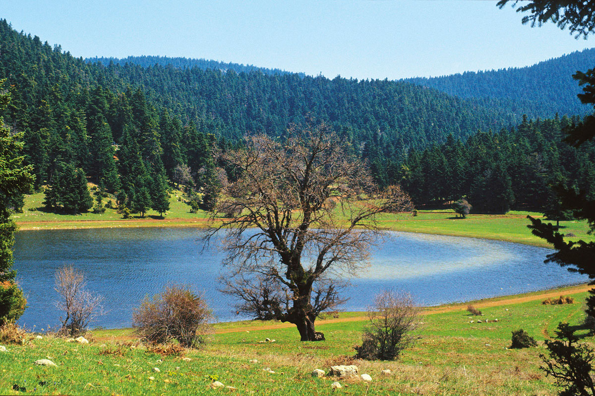 The temporary pond at Nevropolis on Mt. Kallidromo. (Photo: G. Politis