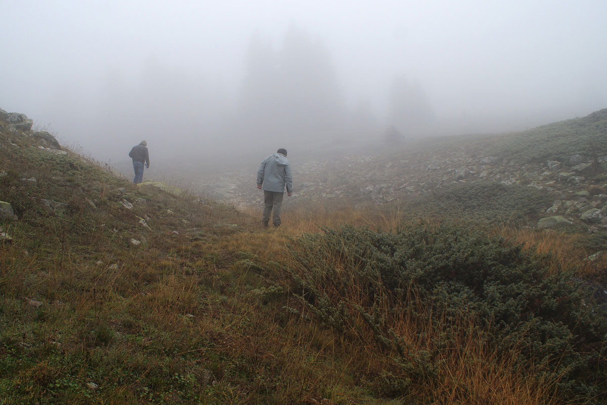 Field work in the grasslands on Mt. Oiti (Photo:Eugene Shogolev) Field work in the grasslands on Mt. Oiti (Photo:Eugene Shogolev)