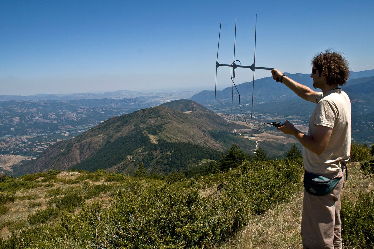 Monitoring the movements of animals with radio transmitters (Photo: A. Karamanlidis/ARCTUROS) Monitoring the movements of animals with radio transmitters (Photo: A. Karamanlidis/ARCTUROS)