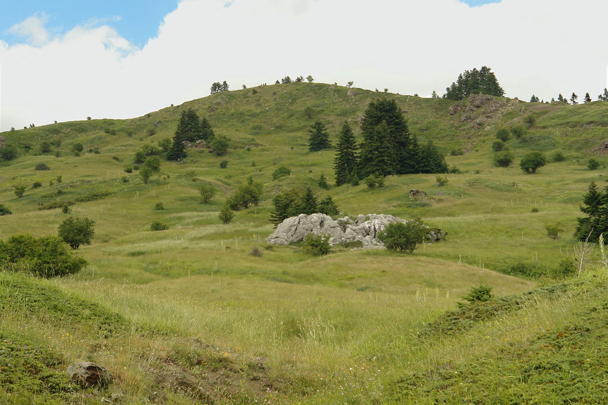 Mountain grasslands on Mt. Oiti. (Photo: G. Karetsos) Mountain grasslands on Mt. Oiti. (Photo: G. Karetsos)