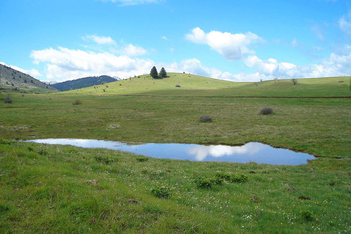 Temporary pond on Mt. Oiti. (Photo: G. Karetsos) Temporary pond on Mt. Oiti. (Photo: G. Karetsos)