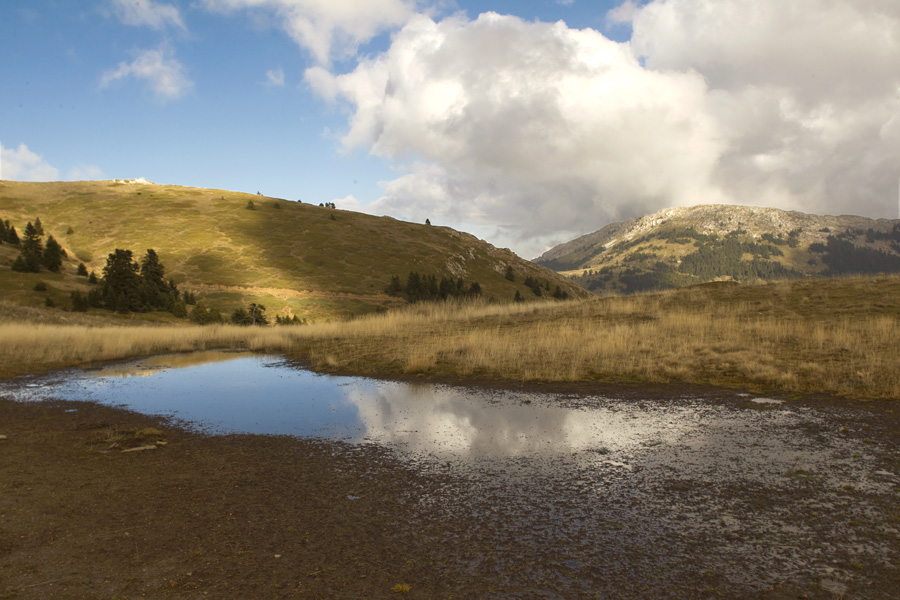 The temporary pond at Alykaina. (Photo: Nikos Petrou)