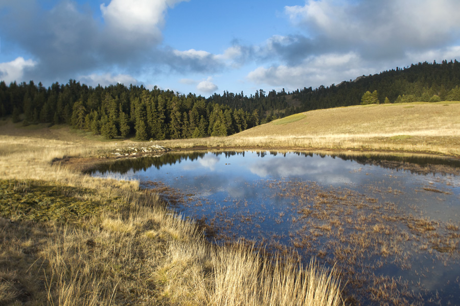 The temporary pond at Livadies. (Photo: Nikos Petrou)