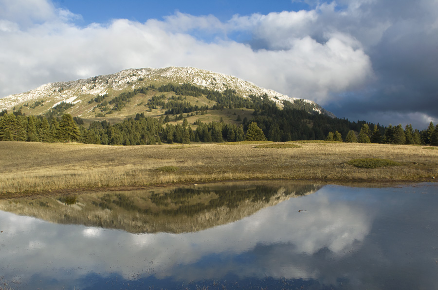 Livadies. Looking towards Greveno peak. (Photo: Nikos Petrou)