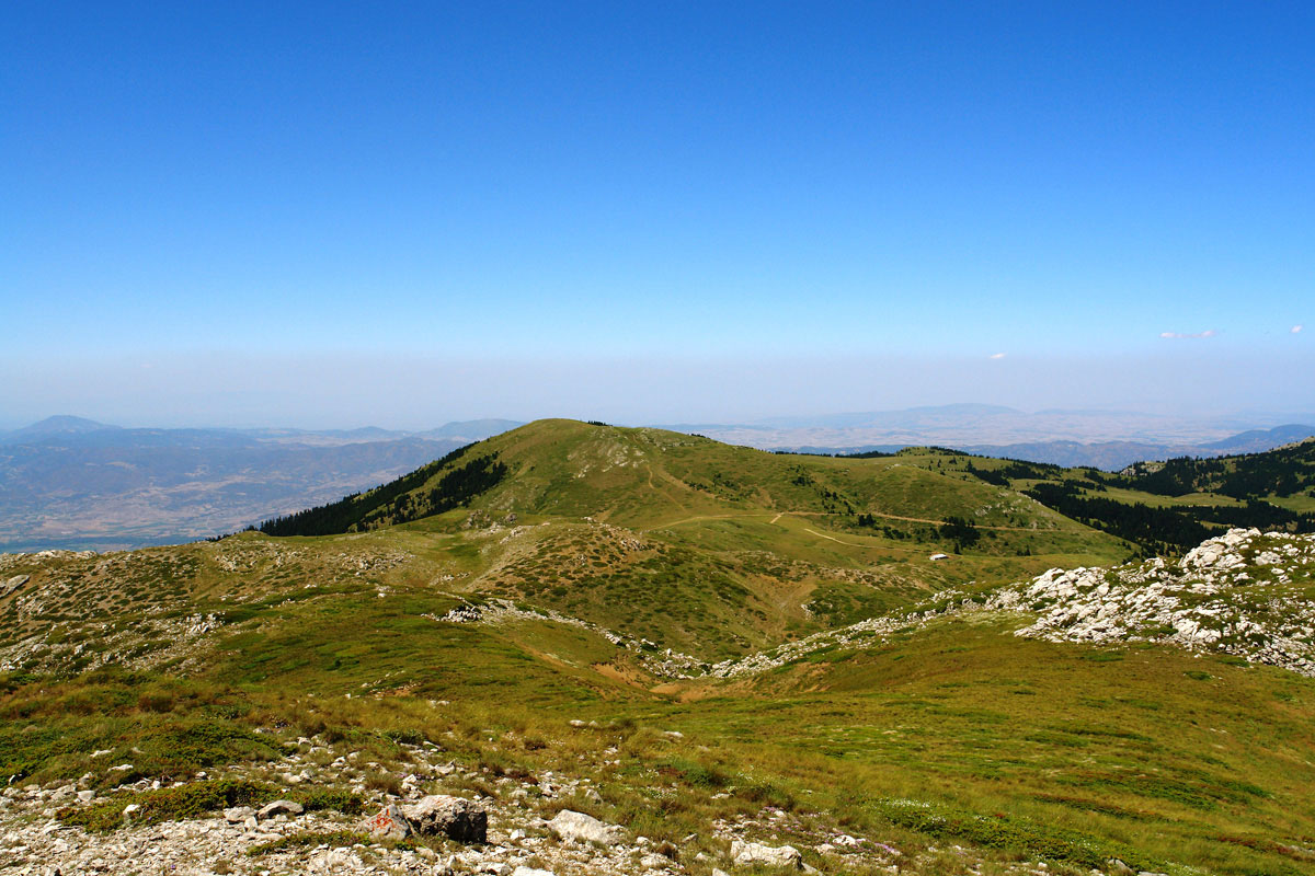 Semi-natural dry grasslands on calcareous substrates. (Photo: G. Karetsos) Semi-natural dry grasslands on calcareous substrates. (Photo: G. Karetsos)