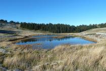  A temporary pond on Mt. Oiti. Photo Ch. Georgiadis