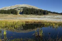 (Ethnikos Drymos Oitis - First snow on the Leivadies plateau (Photo: Nikos Petrou)