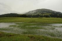 Temporary pond on Mt. Oiti. (Photo: G. Karetsos)