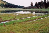 Off road driving threatens the fragile habitats of the temporary pond of Souvala (Photo: G. Politis) 