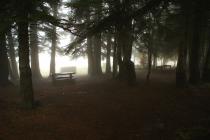 Picnic sites will be established at appropriate locations on Mt. Kallidromo (Photo: Ch. Alivizatos)