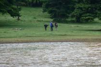 Observation of the floristic composition around the lake Nevropoli on Mt. Kallidromo  (Photo: Christos Georgiadis) 