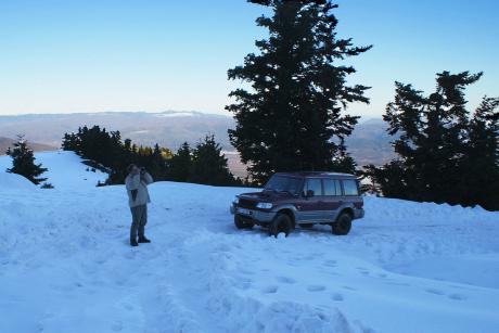 Scanning for birds on the southern side of Mt. Oiti. Photo: Eugene Shogolev