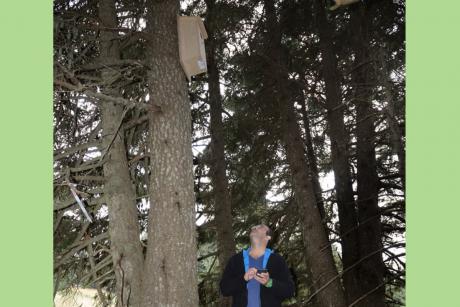 The monitoring of artificial nests has started (Photo: Giorgos Politis)