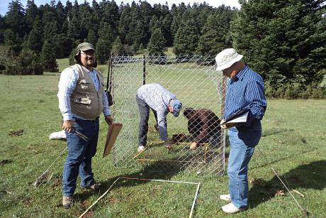 Estimation of the optimal grazing regime (Photo: Giorgos Lyrintzis)